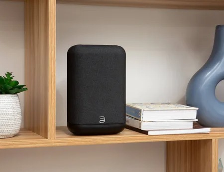 Bluesound Pulse Flex (2025)