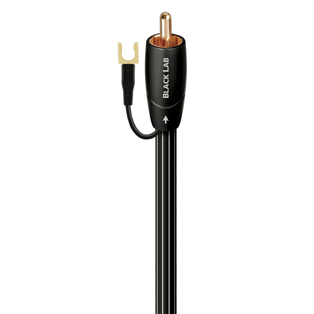 AudioQuest - Black Lab - Longueur 2m